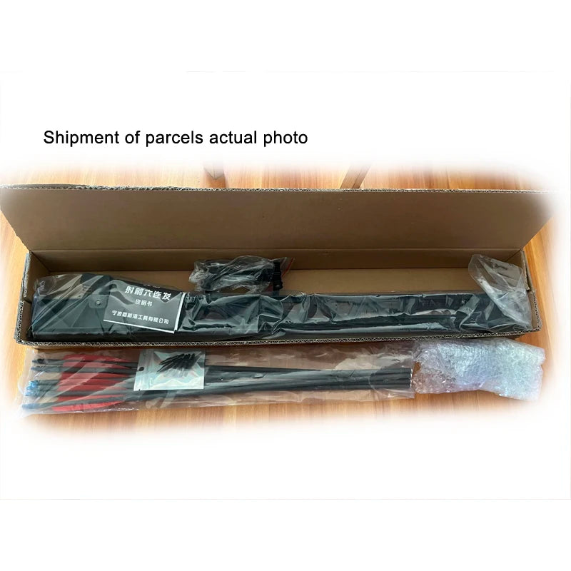Powerful Compound Bow Shooting Catapult Six Continuous Fire Arrow for Outdoor Hunting Continuous RH Delivery accessories