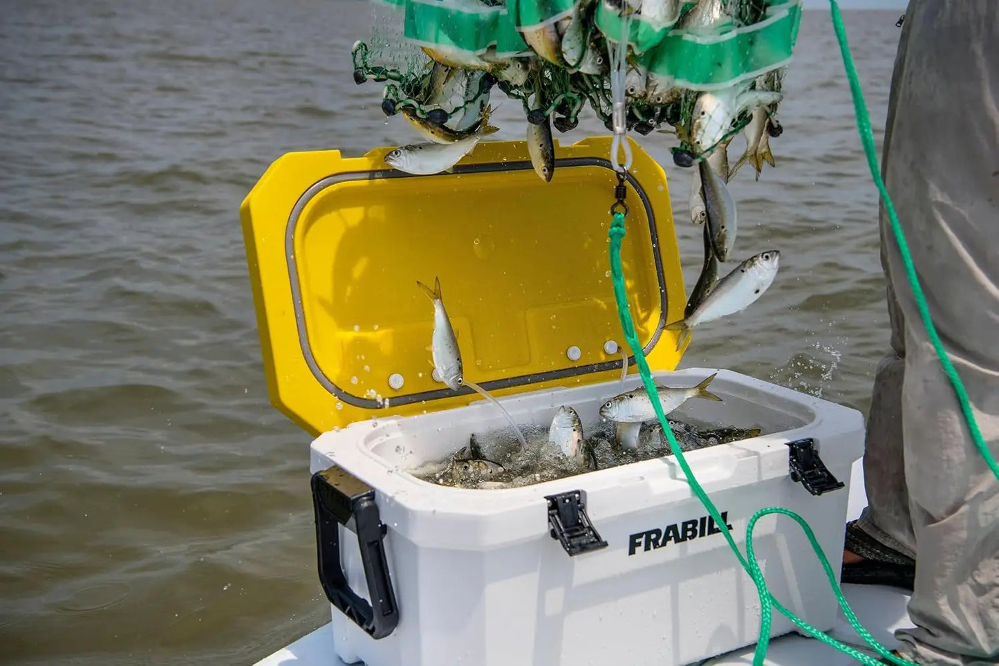 30 Quart Bait Cooler with Dual Aeration for Live Bait Storage, Insulated Cooler for Fishing Trips