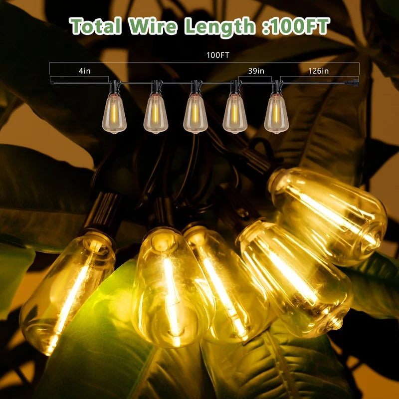 100FT Solar String Lights Waterproof, 30 LED Dimmable Patio Lights with Remote & USB Port for Garden Camping Backyard